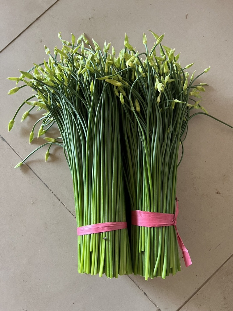 韭菜苔现货大量上市，优质一手货源，诚信合作。