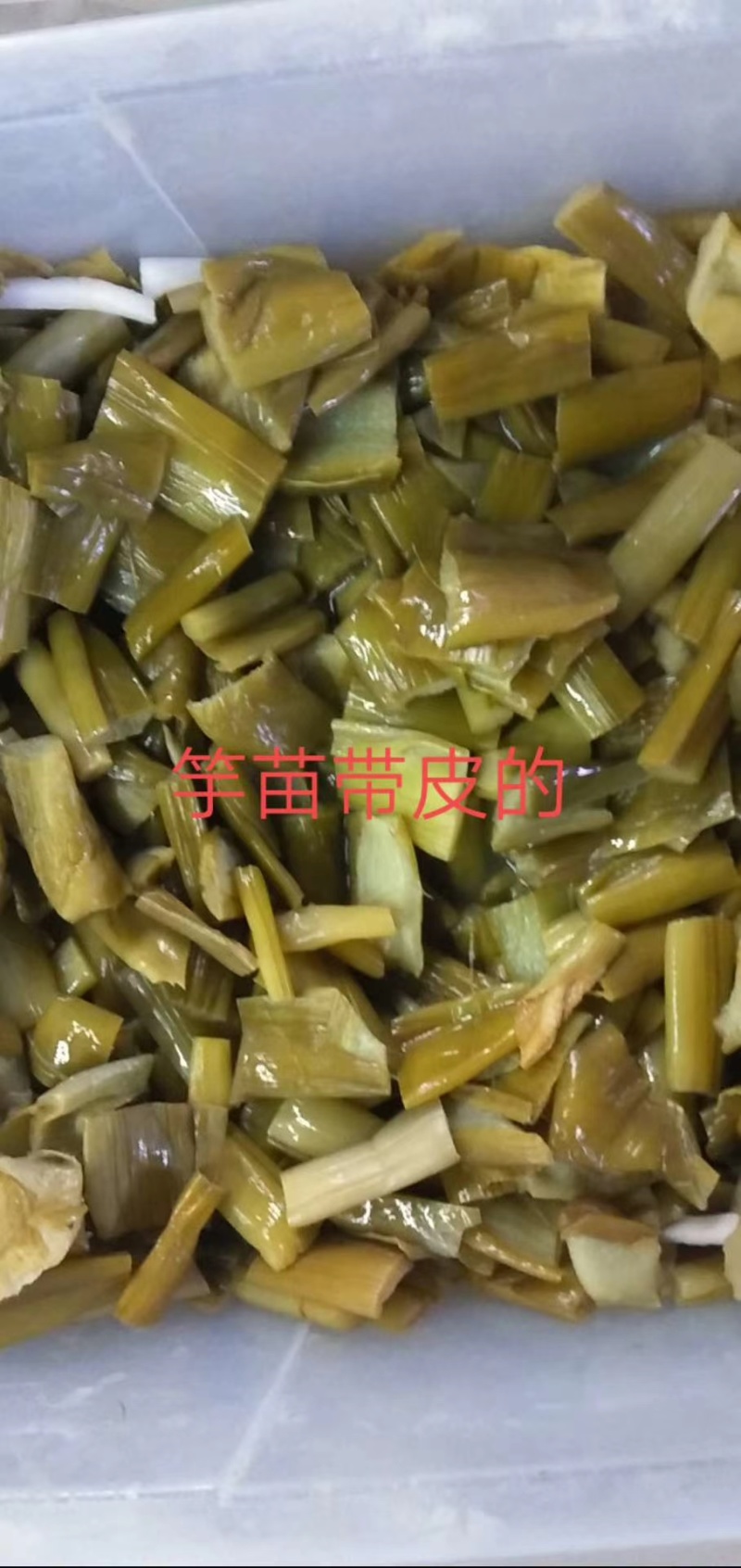 酸芋苗