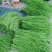 荚乐多1号豇豆种子欧兰德耐热翠绿荚双荚油绿夏长豆角豇豆种