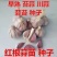 红根蒜苗种子二水早川蒜种子寒蒜种子高产抗病耐寒根红叶硬