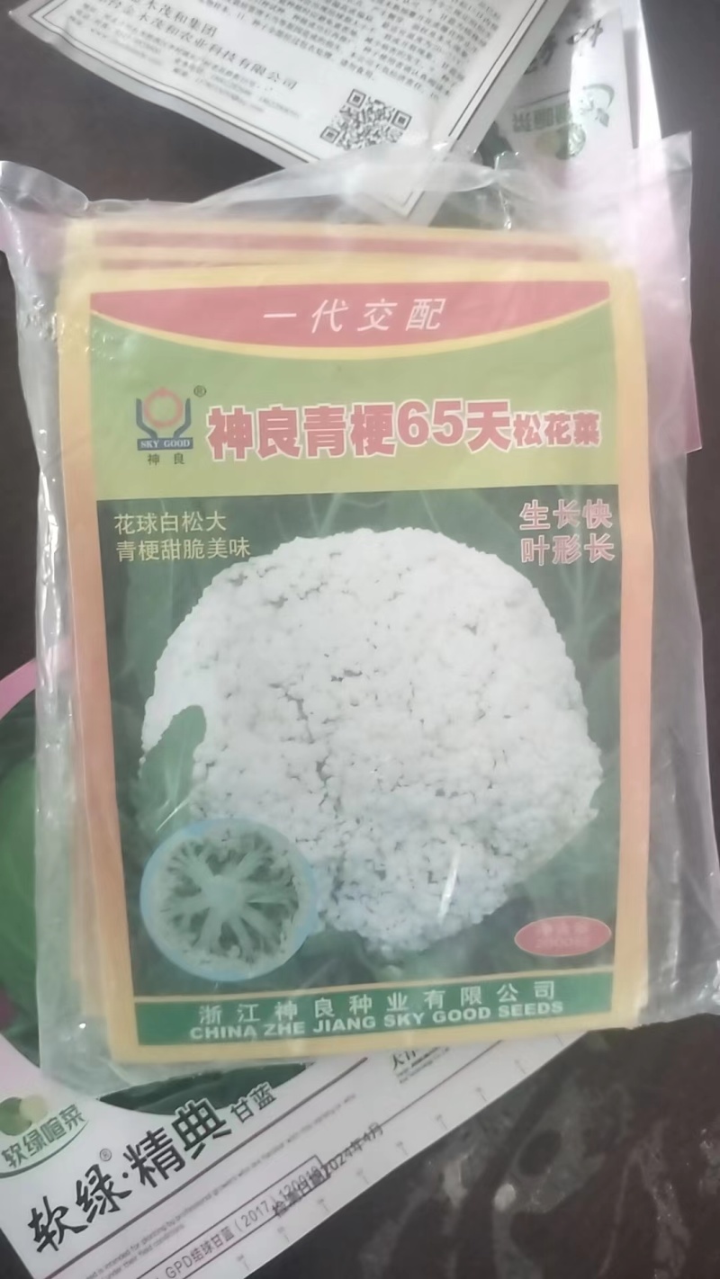 浙江神良青梗有机花菜种子总代理对外批发零售种子量大从优