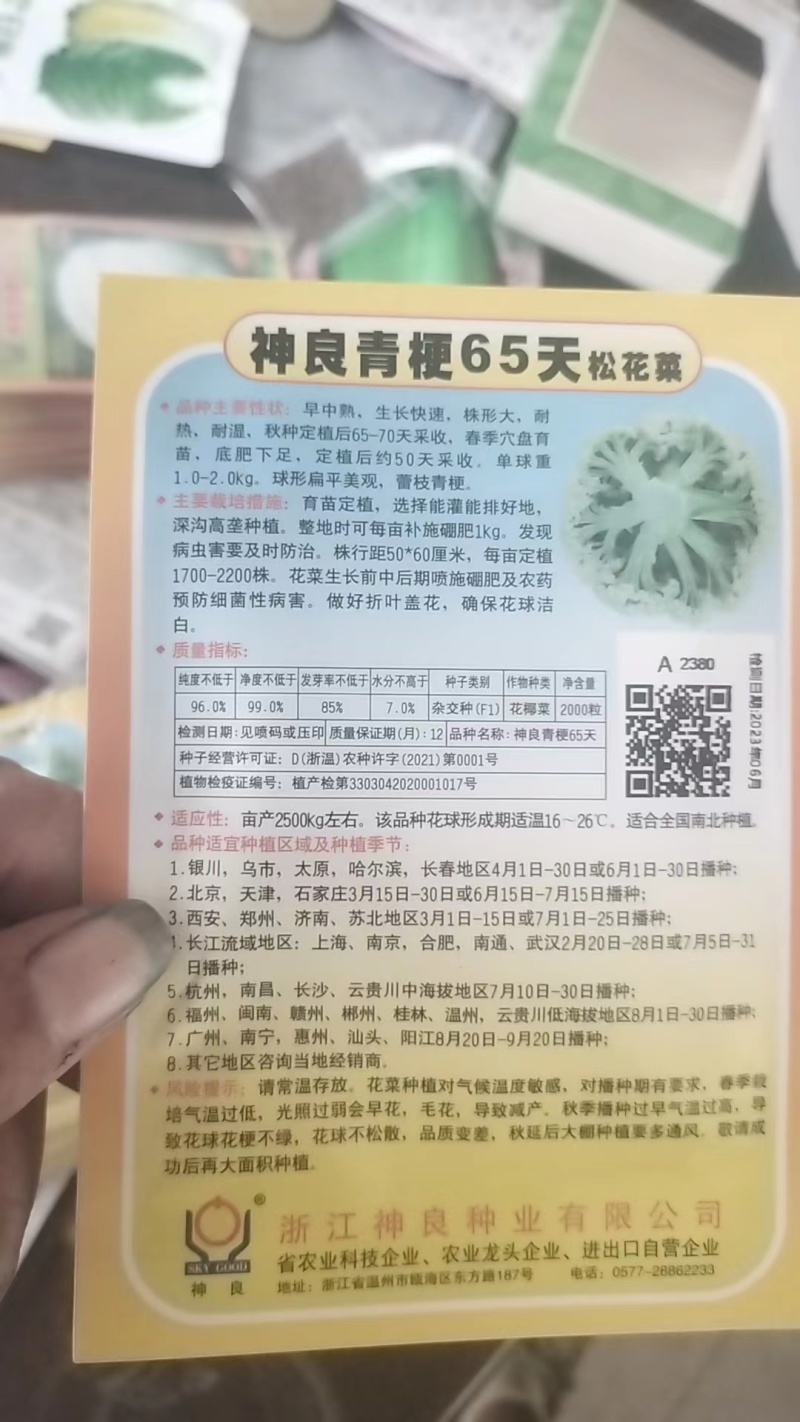 浙江神良青梗有机花菜种子总代理对外批发零售种子量大从优