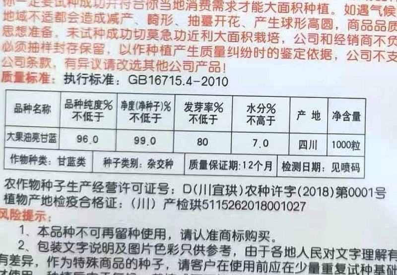 甘蓝种子大果油亮油绿色甜脆薄叶甘蓝品种春夏秋均可种植