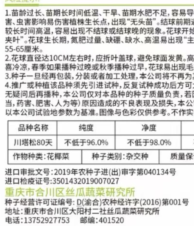 花菜种子川塔松80天中熟青梗小米松花花球雪白品质好