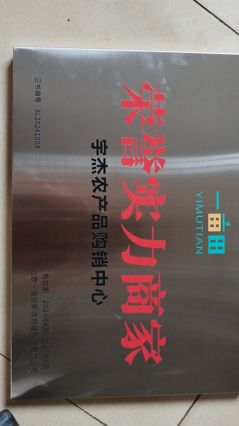 春季栽种铁杆大葱苗钢葱苗香葱苗保成活包管理可技术指导