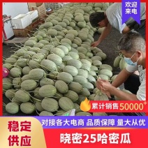 【精品】晓蜜25哈密瓜产地大量上市有需要的联系我