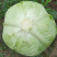 莲花白新鲜包菜现砍现装高山蔬菜品质保障欢迎订购