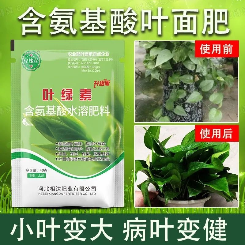 叶绿素叶面肥提苗绿叶片增厚增绿花卉果树蔬菜通用含氨基酸