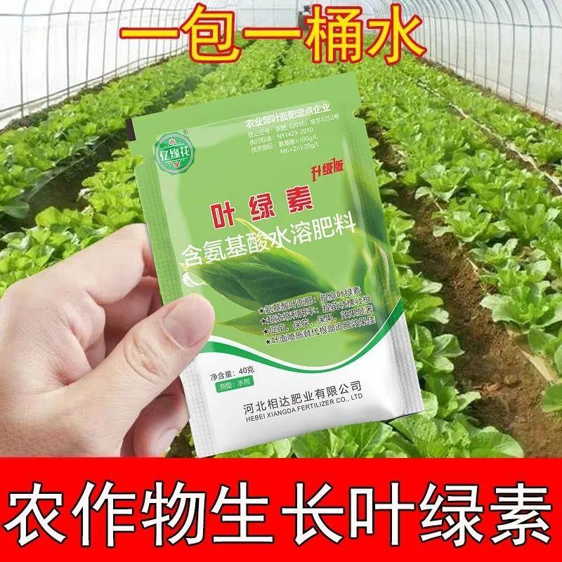 叶绿素叶面肥提苗绿叶片增厚增绿花卉果树蔬菜通用含氨基酸
