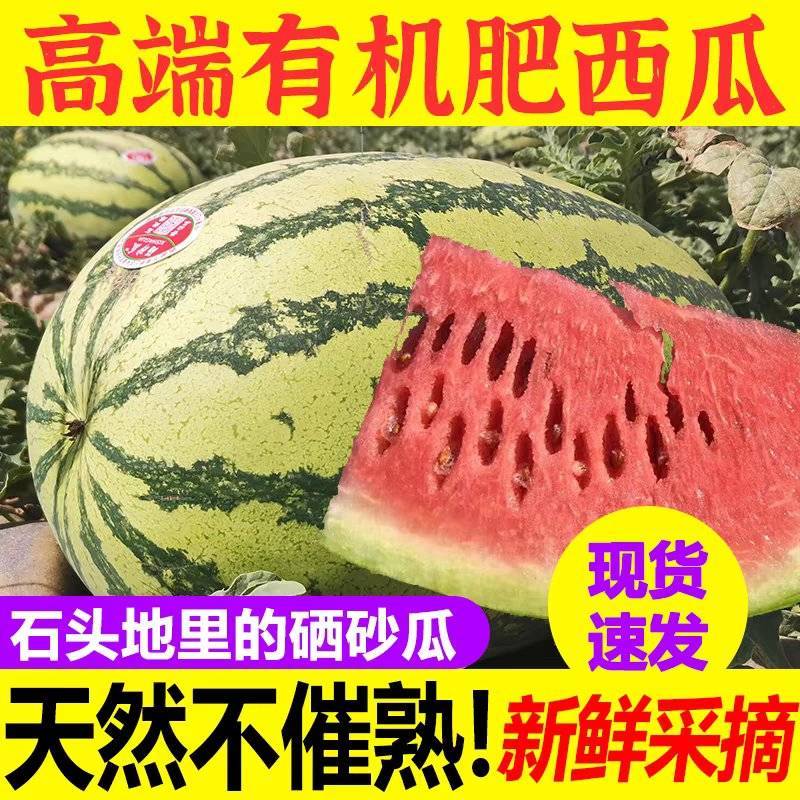 硒砂瓜石头西瓜产地看货论价保质保量欢迎订购