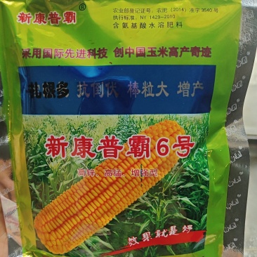扎根多，抗倒伏棒粒大增产新康普霸6号高锌。高锰、增强型
