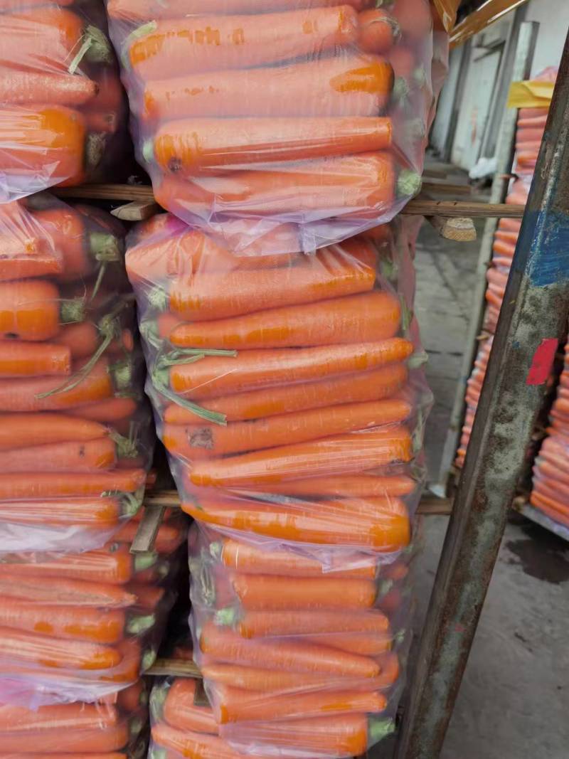 常年大吨位供应食堂、加工厂用的水洗次品胡萝卜