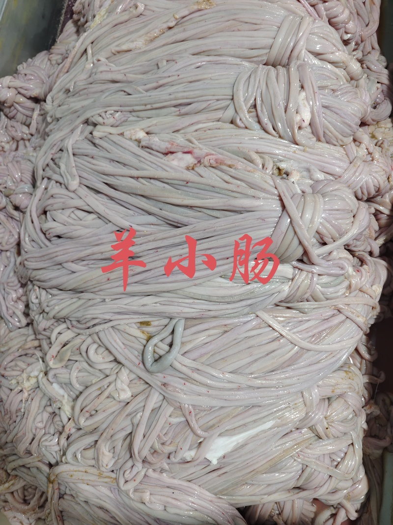 【羊小肠】当地草原羊的肠衣，鲜冻新货！工厂直供量大优惠！
