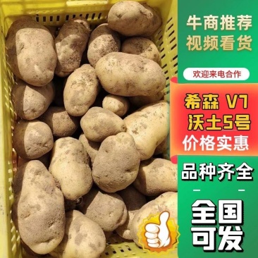 陕西土豆v7沃土希森等品类齐全对接商超社区团购