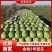 陕西金城5号