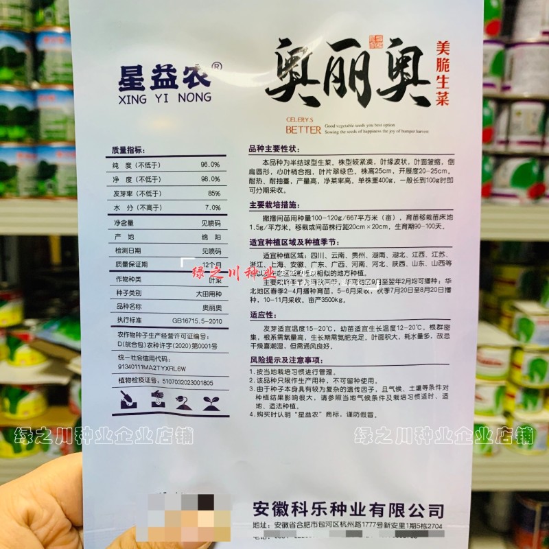 奥丽奥意大利生菜种子半结球生菜种子春秋两季美脆生菜种籽