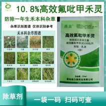 高效氟吡甲禾灵除草剂尖叶草芦苇牛筋草除草剂