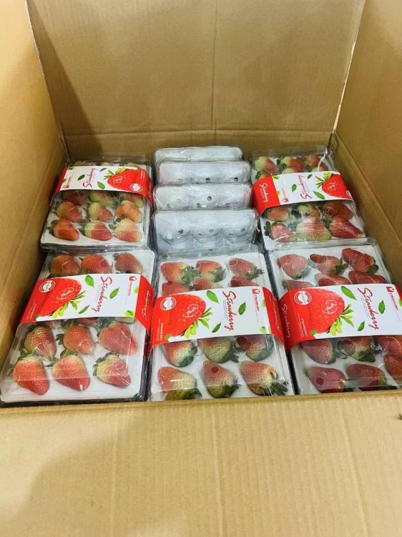 新鲜草莓，甜蜜多汁，健康美味！