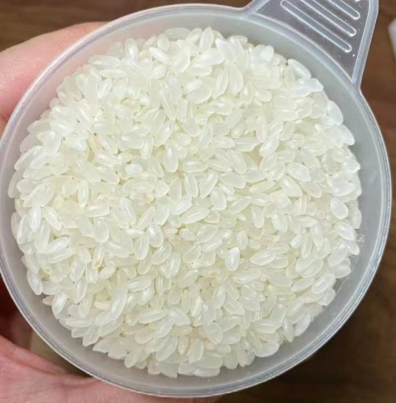 大米珍珠米圆粒饱满陈米酿酒米出浆多常年现货供应