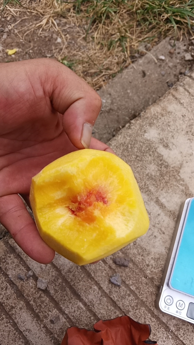 黄桃