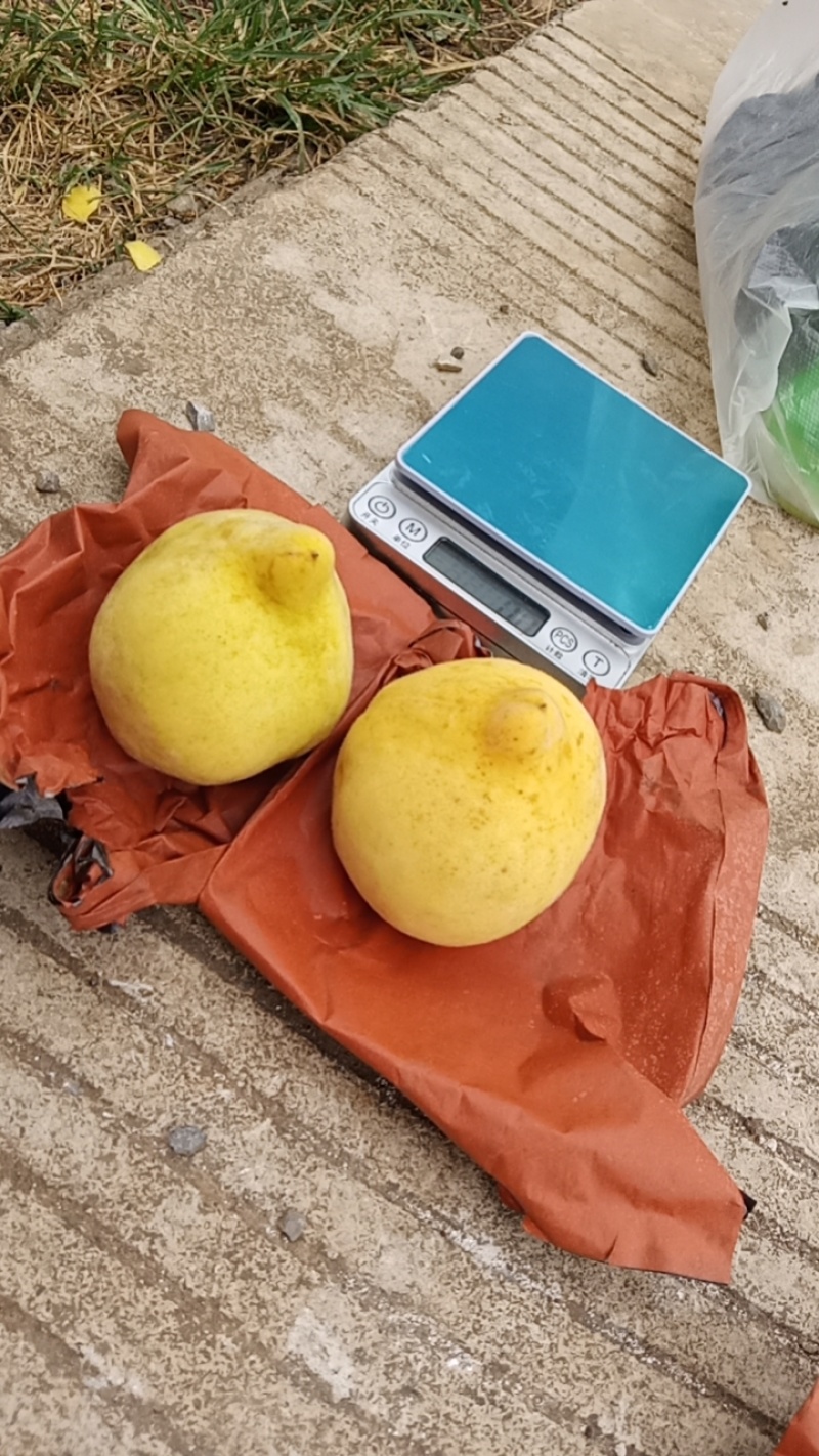 黄桃