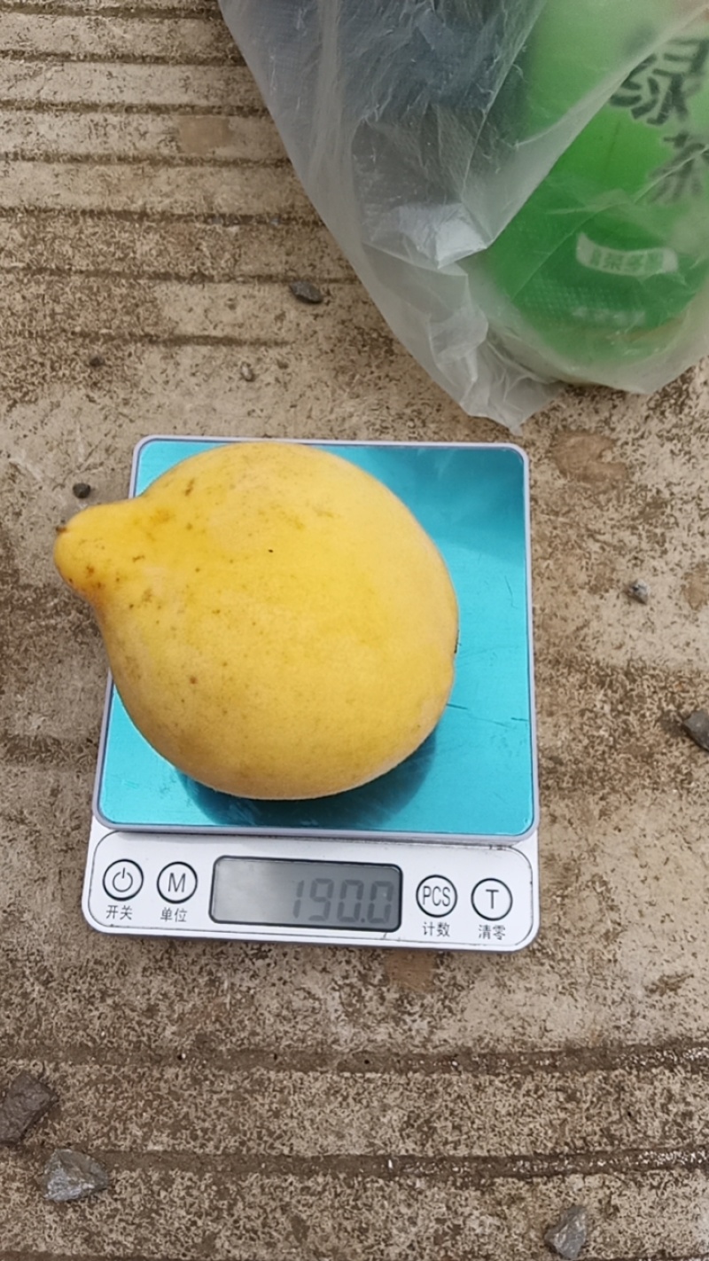 黄桃