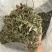车前草正品过筛货去沫子保庆药业批发车前草实物拍摄