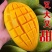 大青芒果产地直发专做电商各大一件代发坏果包赔