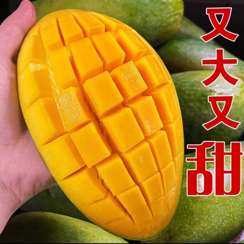 大青芒果产地直发专做电商各大一件代发坏果包赔