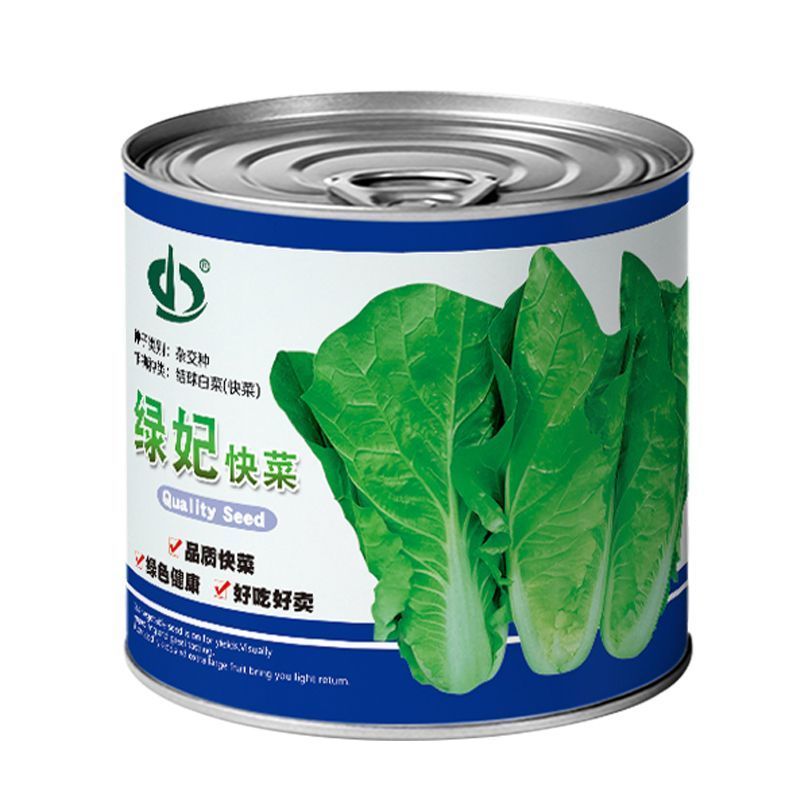 绿妃快菜种子外叶深绿顺厚柔软耐热耐湿生长速度快