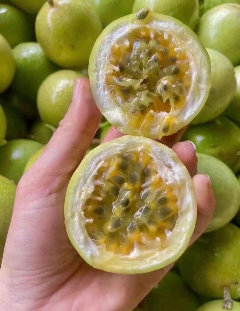 钦蜜9号百香果