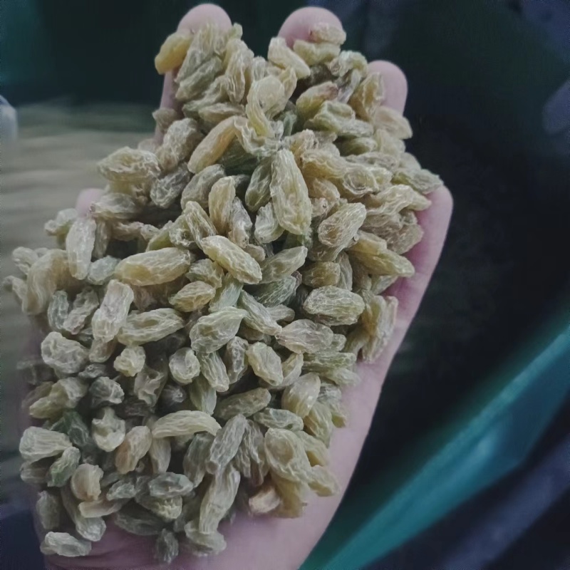 新疆无核葡萄干产地直发现货供应一手货源地摊电商一站式供应