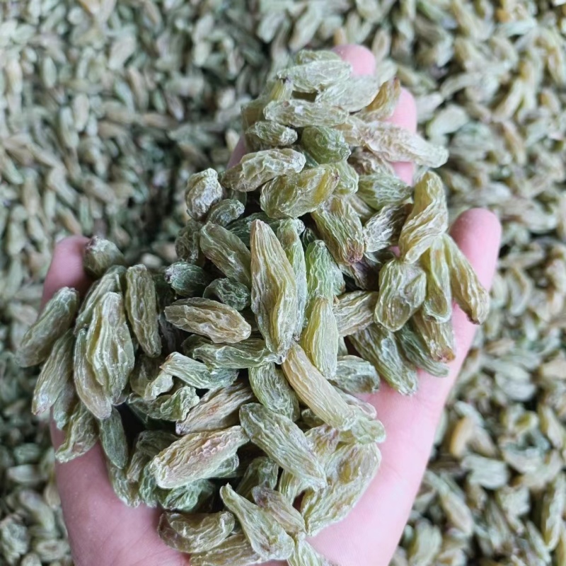 新疆无核葡萄干产地直发现货供应一手货源地摊电商一站式供应
