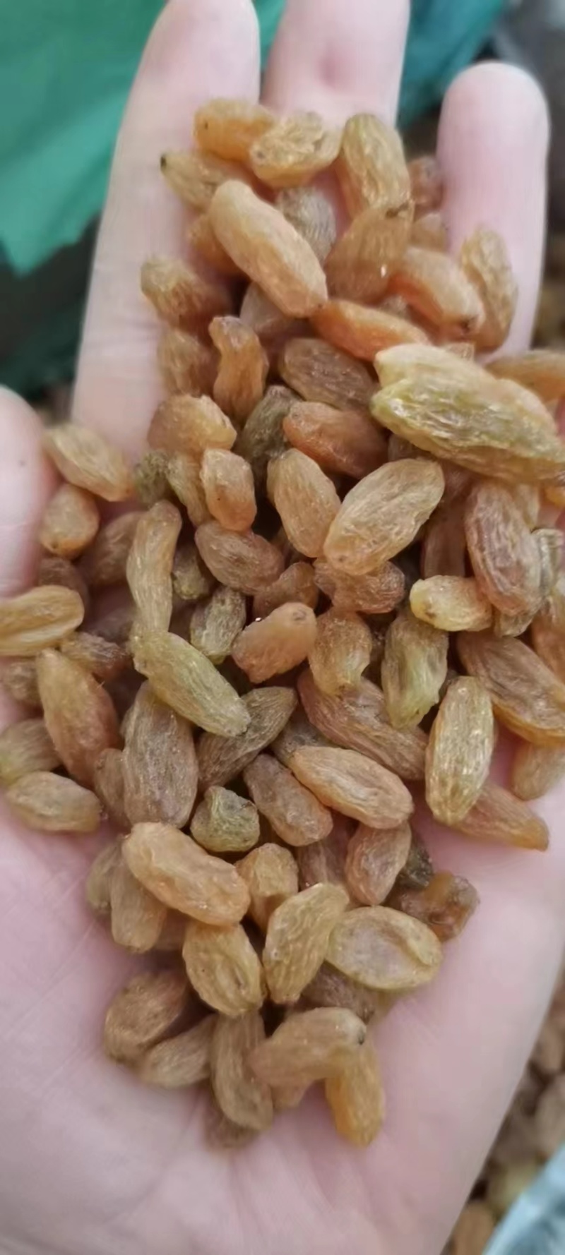 新疆无核葡萄干产地直发现货供应一手货源地摊电商一站式供应