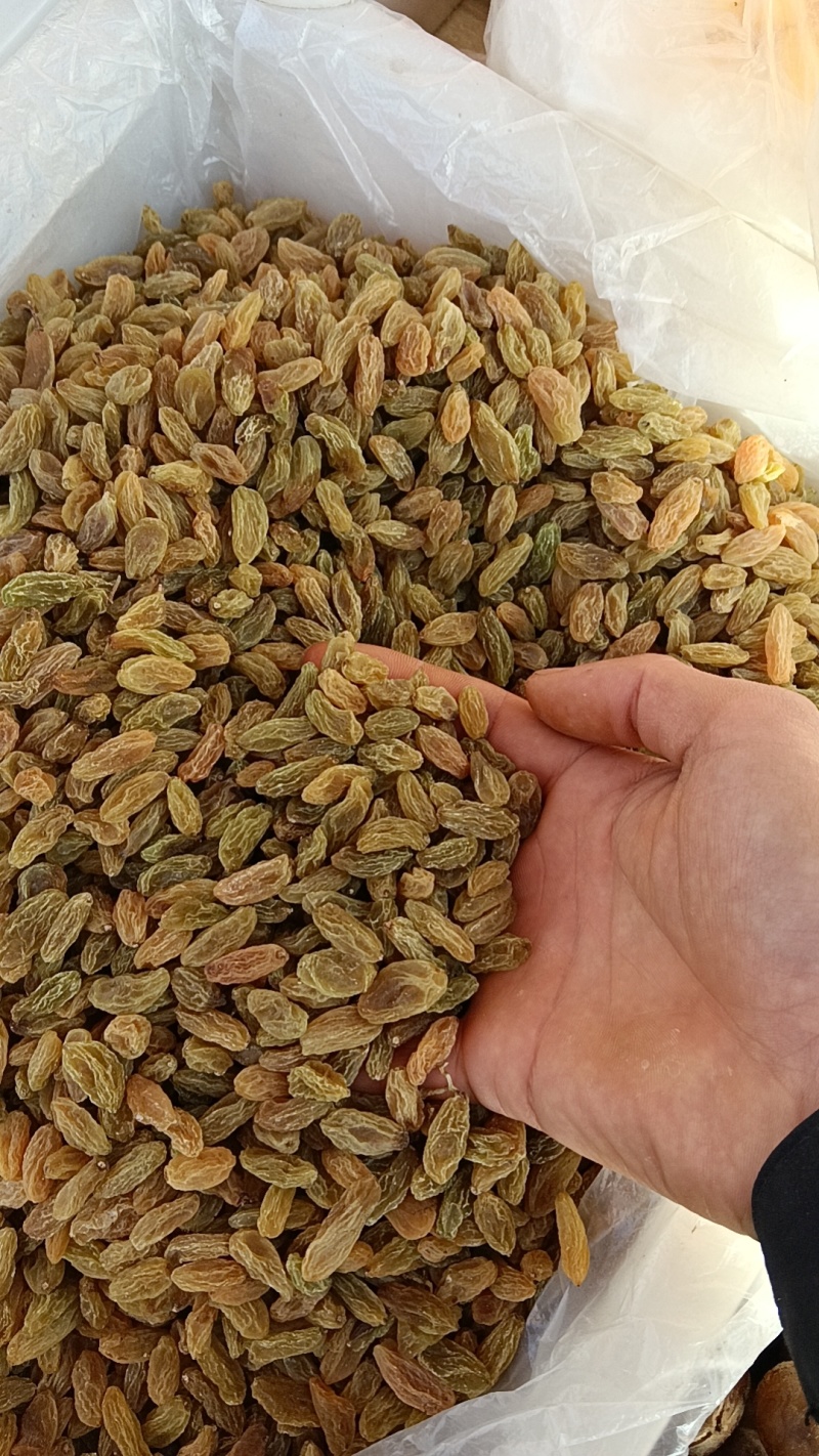 新疆无核葡萄干产地直发现货供应一手货源地摊电商一站式供应