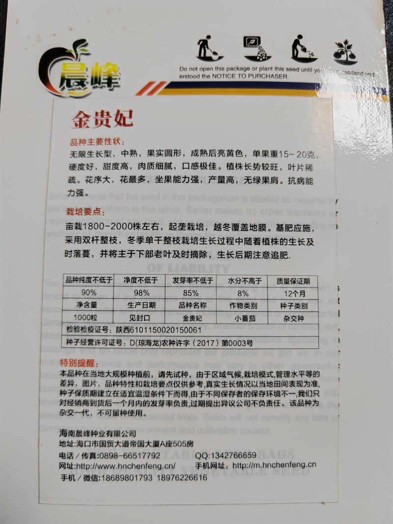 甜度高圆形黄色小番茄无限生长硬度好品质保证厂家直销