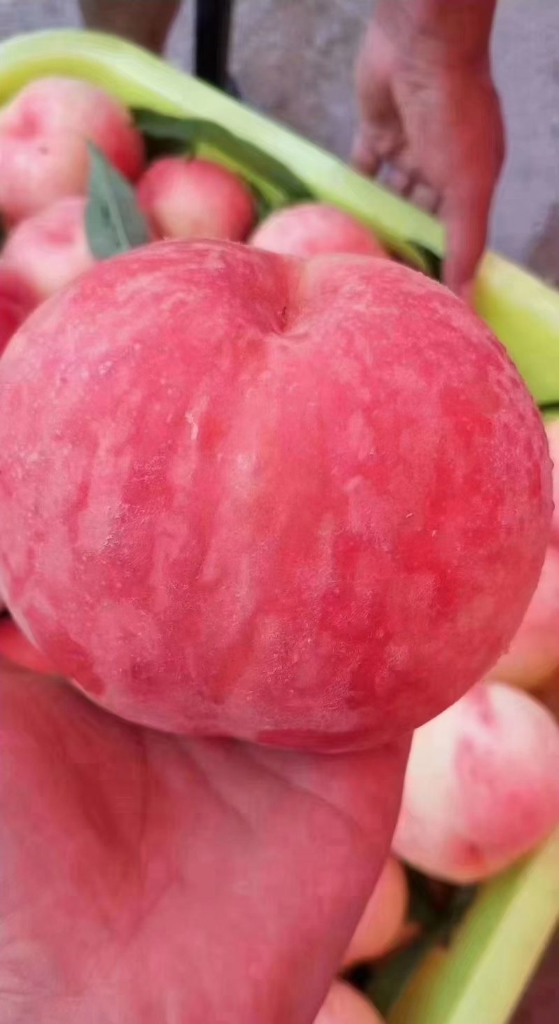 水蜜桃