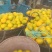【特早蜜橘】浙江台州三门蜜橘果色靓丽果形好无擦伤承接电商