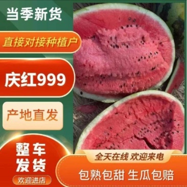 东北地雷瓜/庆红999/通辽西瓜/无籽西瓜/内蒙古西瓜
