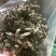 艾叶野生艾蒿一手批发常年供应量大从优