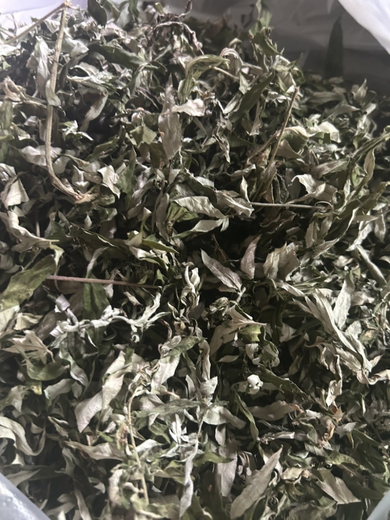 艾叶野生艾蒿一手批发常年供应量大从优
