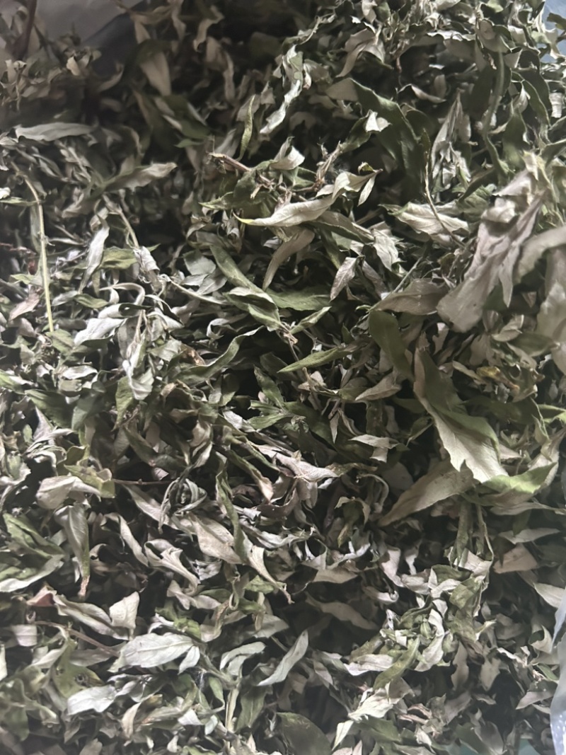 艾叶野生艾蒿一手批发常年供应量大从优