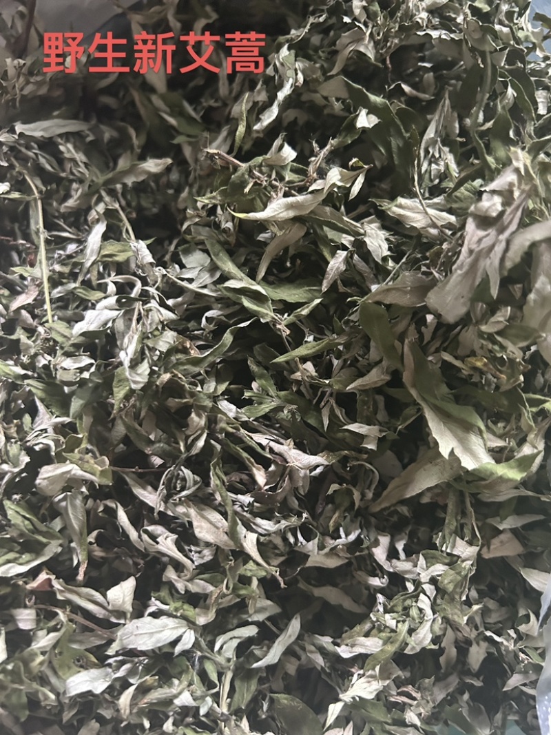 艾叶野生艾蒿一手批发常年供应量大从优
