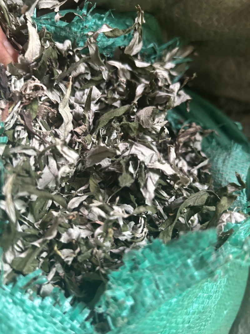 艾叶野生艾蒿一手批发常年供应量大从优