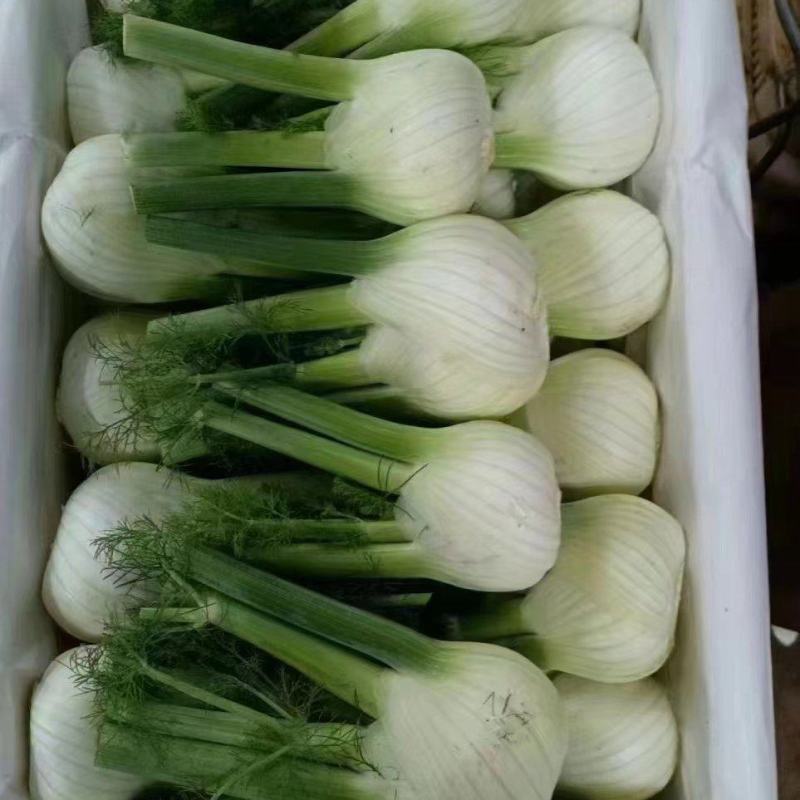 荤香球，直接打电话沟通，平台无法聊天