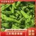 江苏薄皮青椒大量上市中质量保证诚信经营大量上市