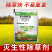农仔-68%草甘膦铵盐-可溶粒剂(货源充足咨询优惠)