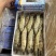 黑虎虾，价格便宜，货源充足，规格齐全，欢迎选购咨询