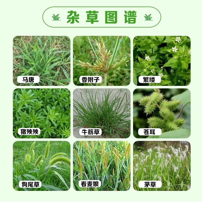 农仔-68%草甘膦铵盐-可溶粒剂（货源充足咨询优惠）