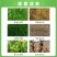 农仔-68%草甘膦铵盐-可溶粒剂(货源充足咨询优惠)